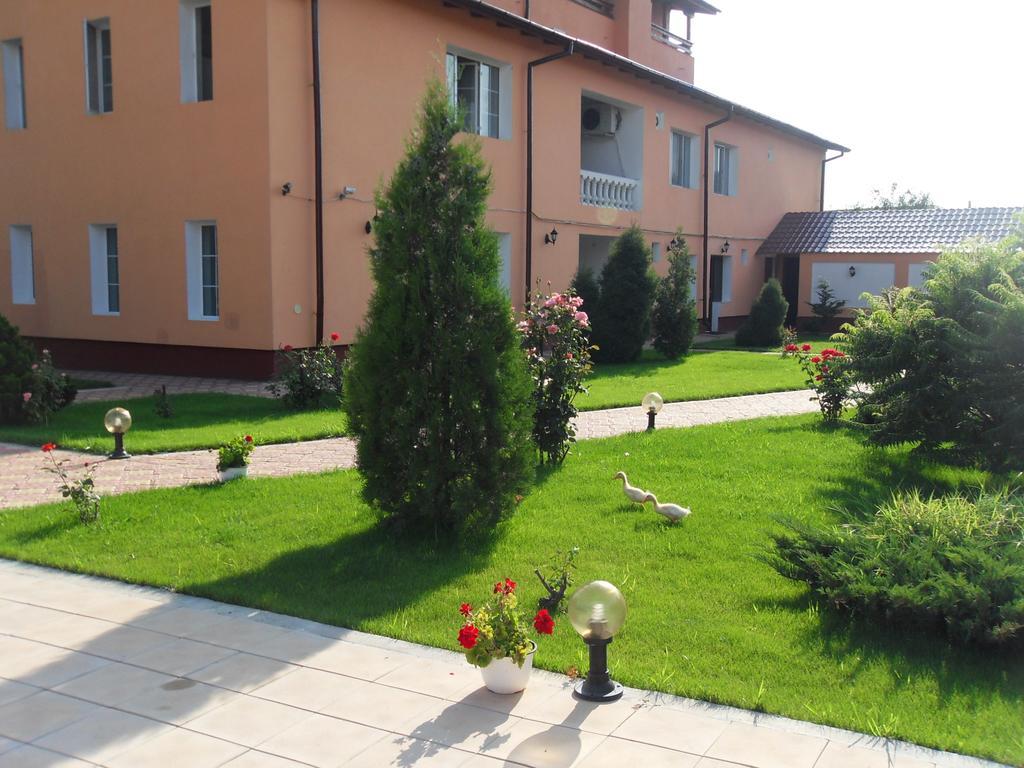 Râmnicu Vâlcea Casa Alba酒店 外观 照片